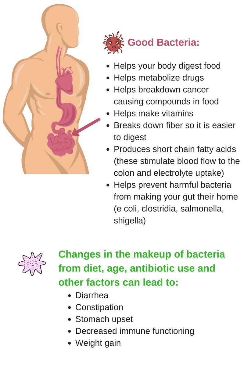 bacteria, probiotics and body weight