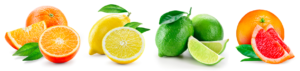 Citrus Fruit