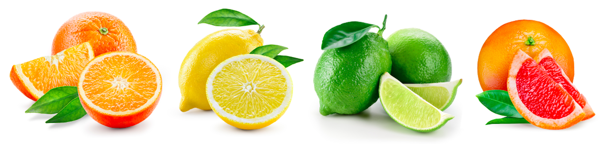 Citrus Fruit